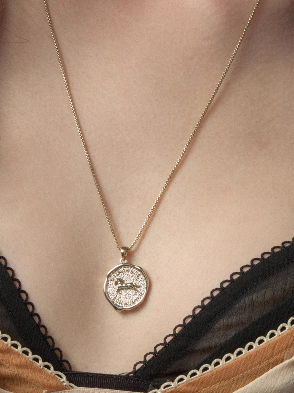 MUKTANK×SUN HUNTER Pegasus Coin Medium-length Chain Necklace