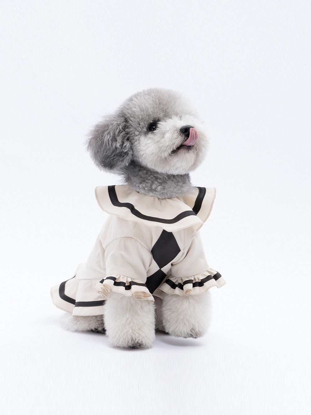 MUKTANK×TAORAE Ruffled Color Matching Circus Puppy Padded Clothes